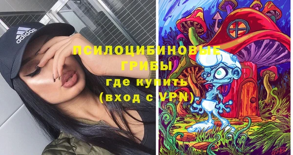 шишки Алексеевка