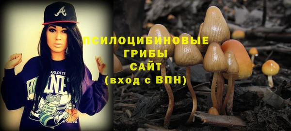 шишки Алексеевка