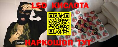мяу мяу кристалл Беслан