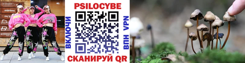 MEGA tor наркошоп Губкин Псилоцибиновые грибы мухоморы