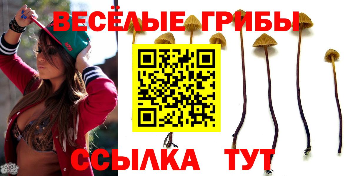 Галлюциногенные грибы прущие грибы Губкин