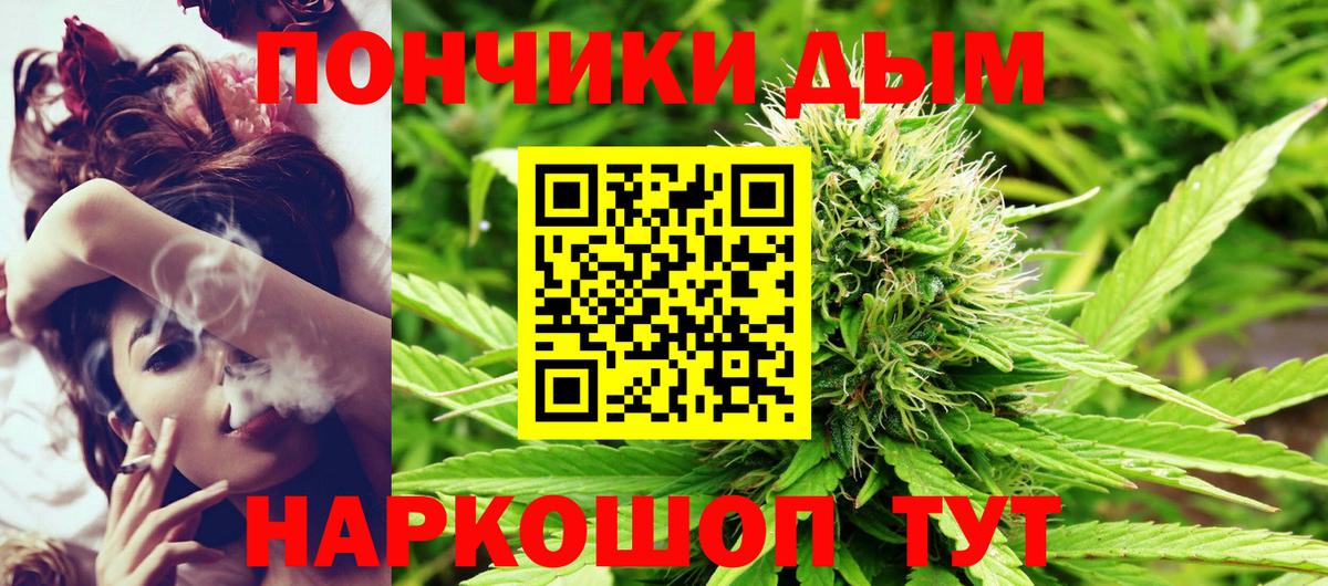 Бошки марихуана сатива Губкин